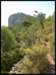 album014_small.jpg