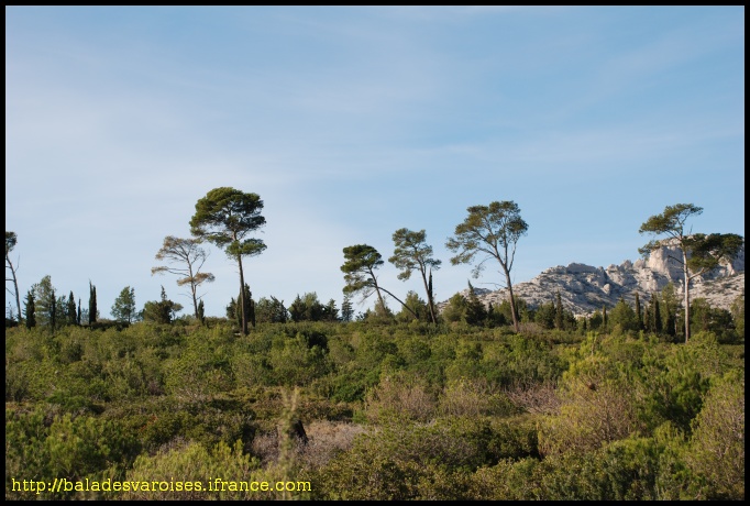 calanques_devenson_005.jpg