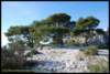 calanques_devenson_032_small.jpg