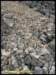 album016_small.jpg