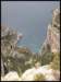 album035_small.jpg