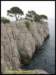 album032_small.jpg