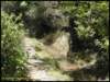 album011_small.jpg