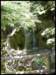album039_small.jpg