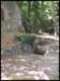 album016_small.jpg