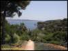 album012_small.jpg