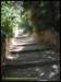 album025_small.jpg