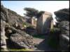 giens023_small.jpg