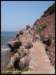 album010_small.jpg