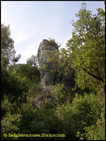 album005.jpg