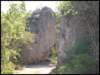 album011_small.jpg