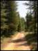 album021_small.jpg