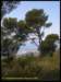 album022_small.jpg
