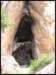 album024_small.jpg
