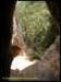 album027_small.jpg