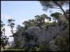 album029_small.jpg