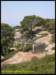 album044_small.jpg