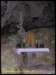 album013_small.jpg