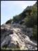album022_small.jpg
