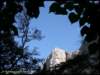 album042_small.jpg