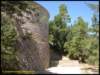 album029_small.jpg