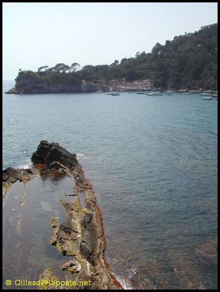 album021.jpg