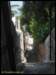 album024_small.jpg
