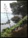 album025_small.jpg