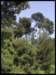 album026_small.jpg